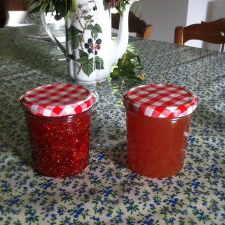 Maison D Hotes Lartigot Bed & Breakfast *
